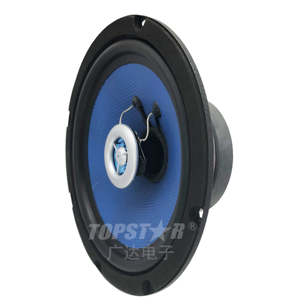 Coaxial Car Speaker