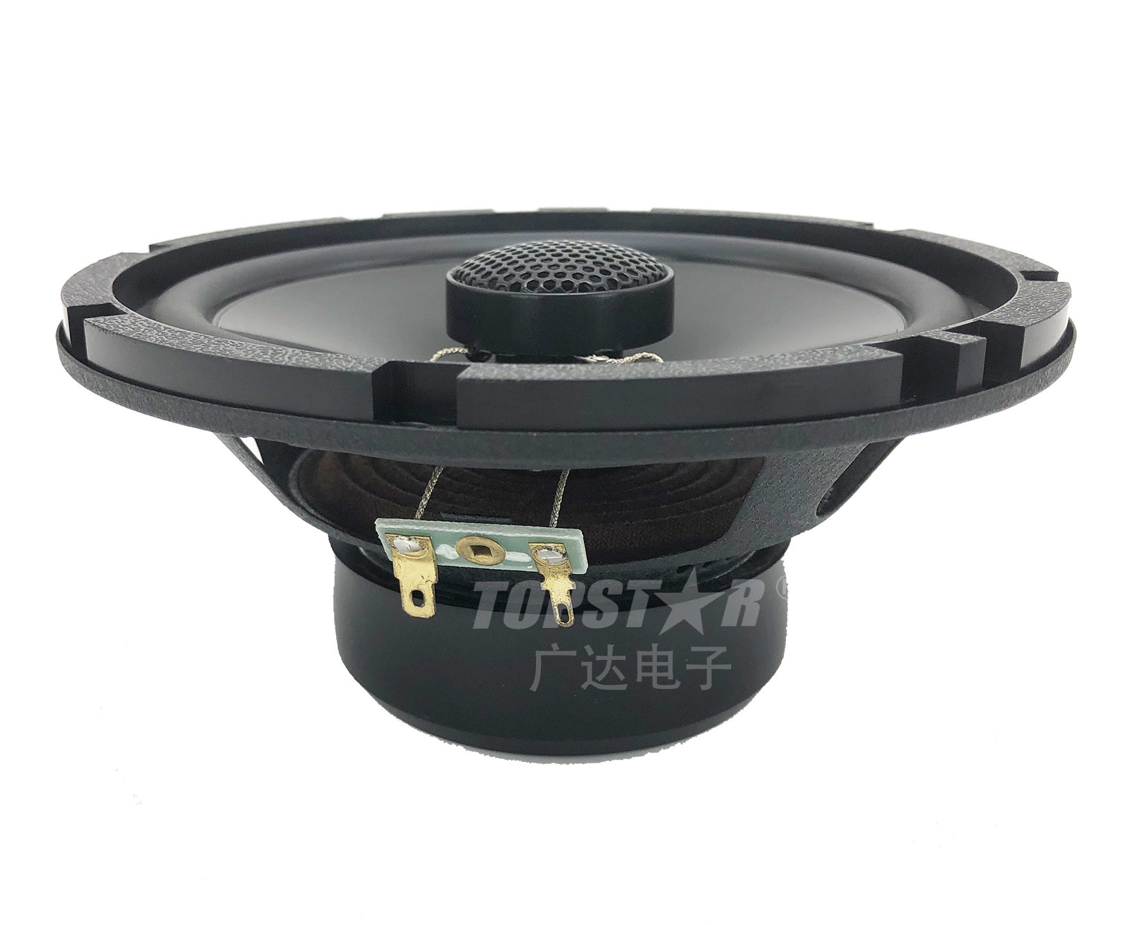 Premium Quality Car Speaker Hjg-3652