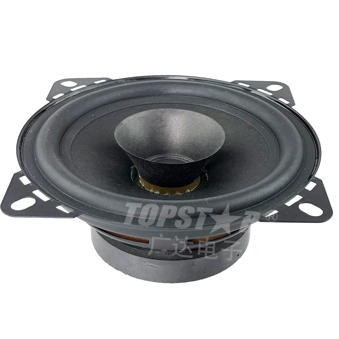 High Power Car Speaker Tr-1101