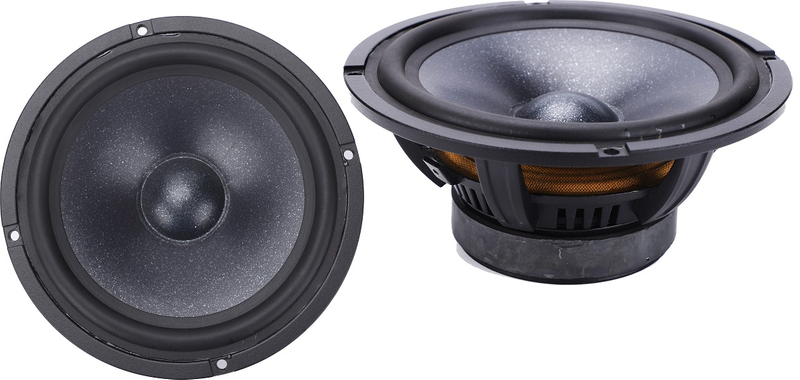Professional Car Accessories Subwoofer Car Audio Speaker